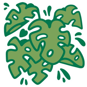 Embroidery Monstera Design