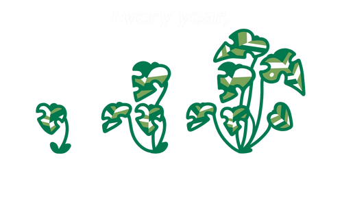 Embroidery Growing Monstera Design